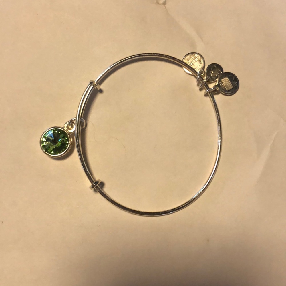 ALEX AND ANI charm bangle